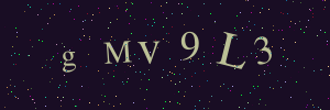 Validation image