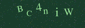 Validation image